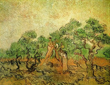 Vincent Van Gogh Painting - Olive Picking 3 Vincent van Gogh